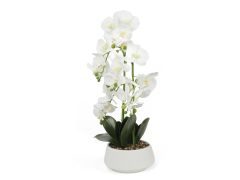 Artificial Orchid with Pot White 65cm