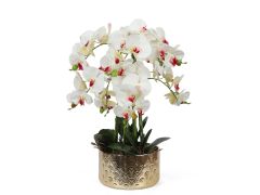 Artificial Orchid with Pot White XL 65cm