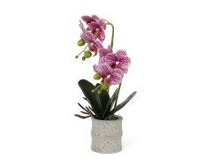 Artificial Orchid with Pot Pink 35cm