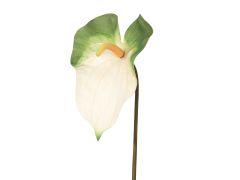 Anthurium Leaf White L 60cm
