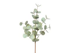 Eucalyptus Branch Green 75cm
