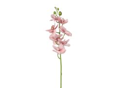 Orchid Spray Pink 80cm