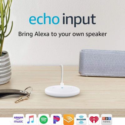 Echo Input - Bring Alexa to your own speaker