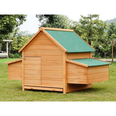 Bingo Chicken Coop with Nesting Box and Perch