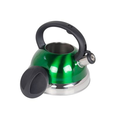 Whistling Kettle Stainless Steel Kettles Coffee Kettle 3L