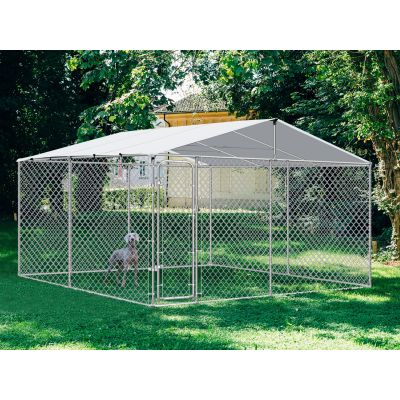 Bingo Dog Kennel and Run 4x4x1.83m With Roof