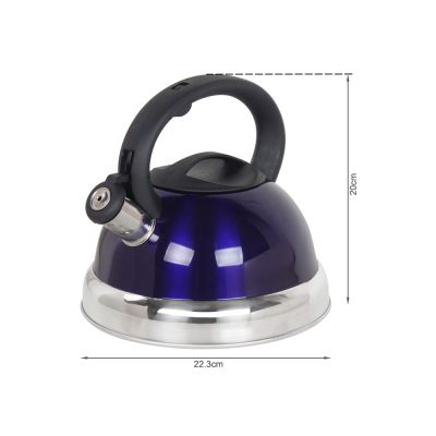 Whistling Kettle Stainless Steel Kettles Coffee Kettle 3L
