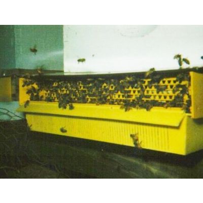 Beekeeping Tool Pollen Trap