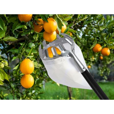 Fruit Picker Orchard Picking Tool with Basket