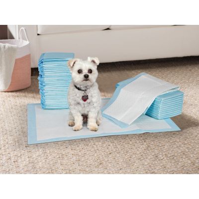 Pet Dog Puppy Training Pad - Set of 20 - XL