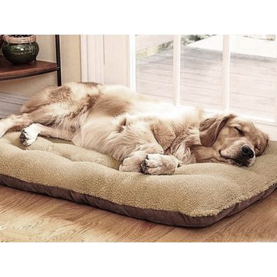 Dog Bed XL