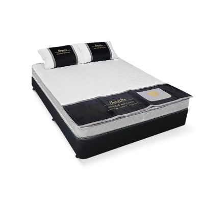 Vinson Fabric Queen Bed with Basic Mattress - Black