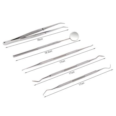 5PCS Stainless Steel Dentist Tools