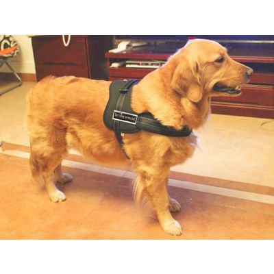 Multipurpose Dog Pulling Harness - Large