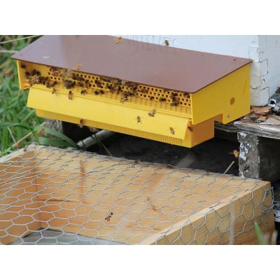 Beekeeping Tool Pollen Trap
