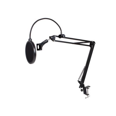 Condenser Microphone Mic Pop Filter Mask Shield + Arm Desktop Boom Stand Holder