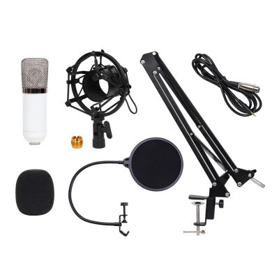 Condenser Microphone Kit - Studio Recording Shock Mount Pop Filter Stand Holder