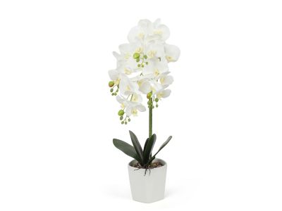 Artificial Orchid with Pot White 70cm