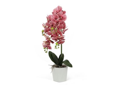 Artificial Orchid with Pot Fuschia 70cm