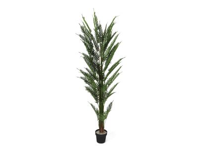 Premium Touch Real Artificial Areca Palm Tree 200cm