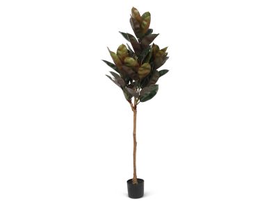 Premium Real Touch Rubber Fig Tree 
