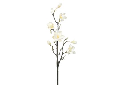Premium Magnolia White 100cm