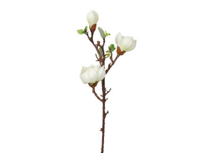Magnolia Spray White 75cm